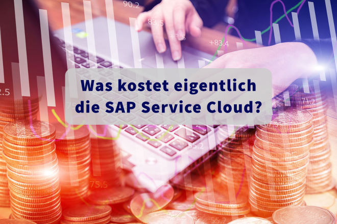 SAP Service Cloud Kosten